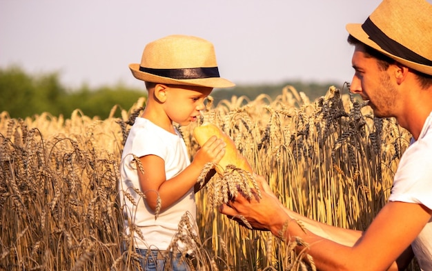 Un niño en un campo de trigo come pan.