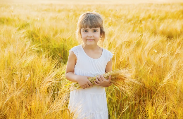 Niño en un campo de trigo. enfoque selectivo naturaleza