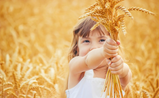 Niño en un campo de trigo. enfoque selectivo