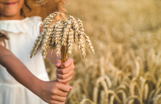 Un niño en un campo de trigo. Enfoque selectivo.