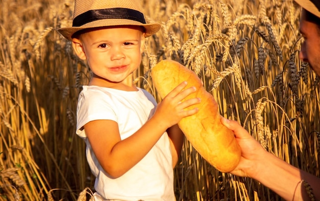 Niño en un campo de trigo con pan en las manos