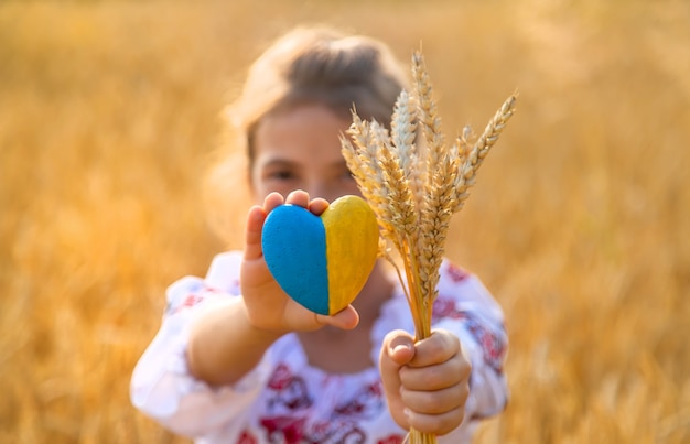 Niño en un campo de trigo. En vyshyvanka, el concepto del Día de la Independencia de Ucrania. Enfoque selectivo.