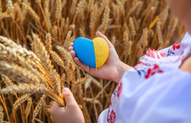 Niño en un campo de trigo. En vyshyvanka, el concepto del Día de la Independencia de Ucrania. Enfoque selectivo.