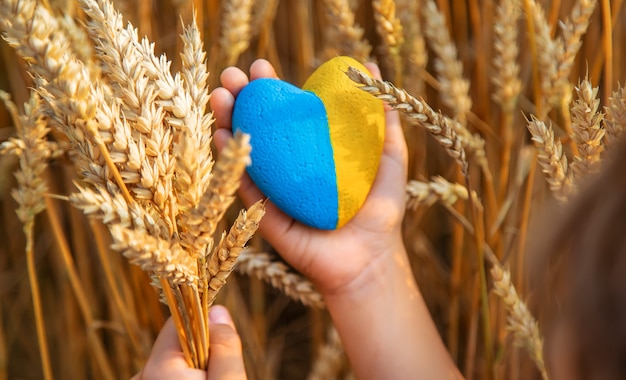 Niño en un campo de trigo. En vyshyvanka, el concepto del Día de la Independencia de Ucrania. Enfoque selectivo.
