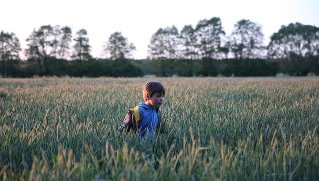 Foto niño en el campo