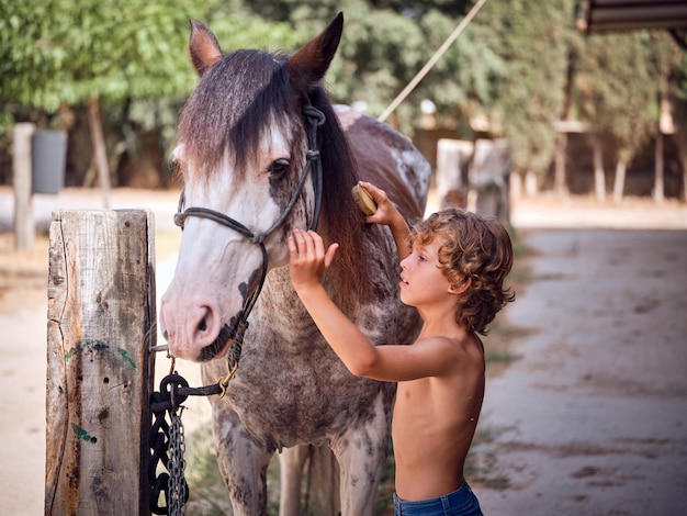 Un niño cariñoso con el pelo rizado cuidando de un caballo manchado mientras estaba de pie en el patio del rancho