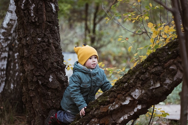 Niño caucásico en capa verde trepando árboles en el bosque de otoño.