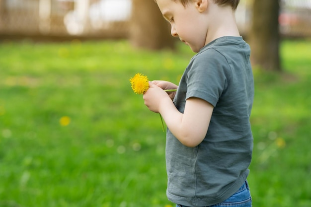 Un niño caucásico de tres años sostiene un diente de león amarillo en sus manos.