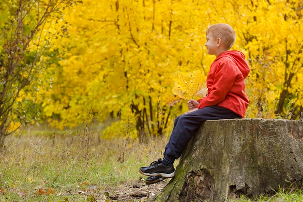 Niño de chaqueta roja sentado en el tocón de un árbol en el bosque de otoño. Vista lateral