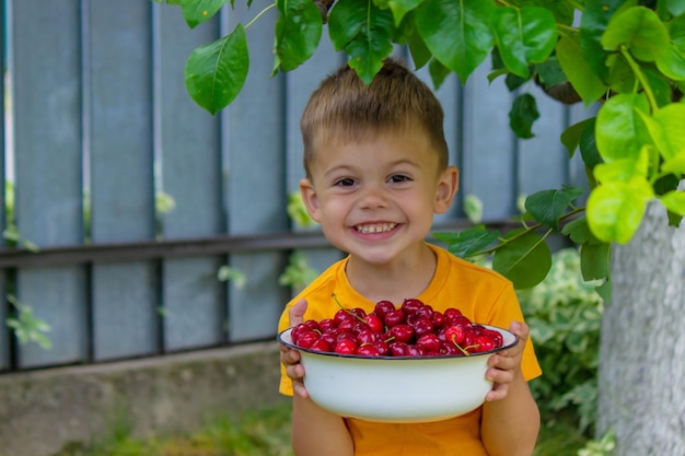 El niño come cerezas en el jardín.