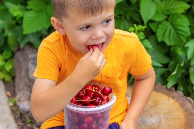 El niño come cerezas en el jardín.