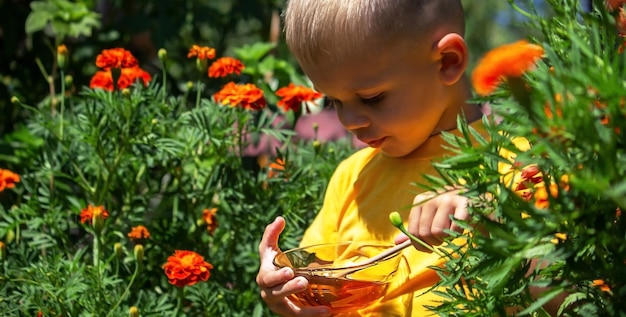 Un niño come miel en el jardín de un cuenco transparente.