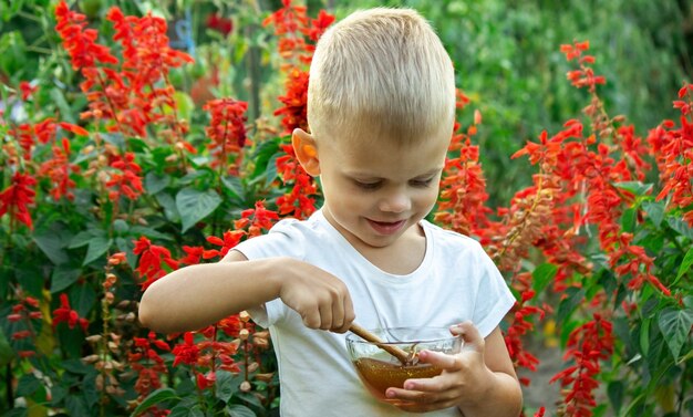 El niño come miel en el jardín.