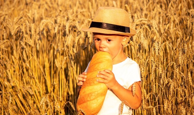 Niño comiendo pan en un campo de trigo. Enfoque selectivo