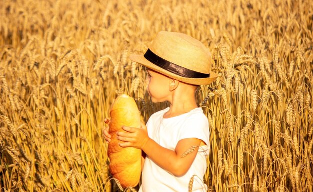 Niño comiendo pan en un campo de trigo. Enfoque selectivo