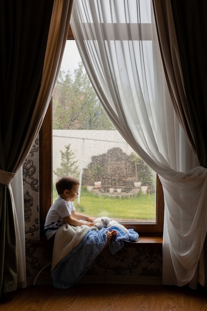 Niño cubierto con una manta de punto azul está sentado en el alféizar de la ventana con gatitos esponjosos blancos