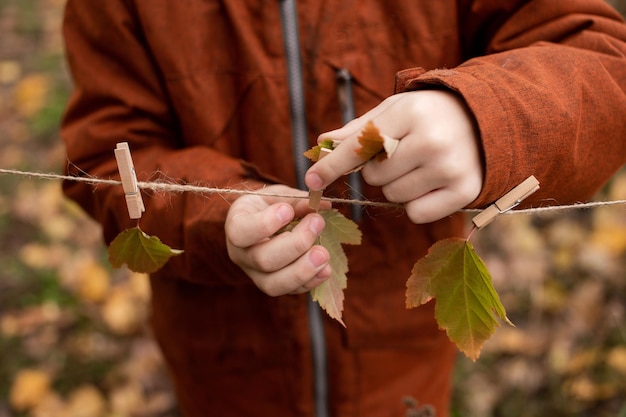 Un niño cuelga hojas de otoño en una cuerda y pinzas para la ropa.