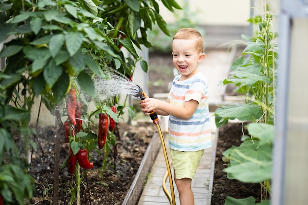 Niño cuida las plantas, riega las plántulas en un invernadero