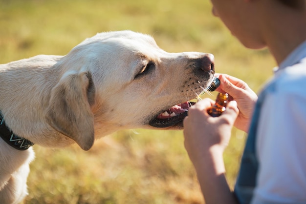 Niño dando a un perro un gotero con aceite de CBD