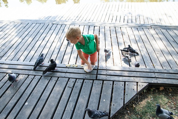 Niño dándole de comer a las palomas en la calle en día de verano en el parque