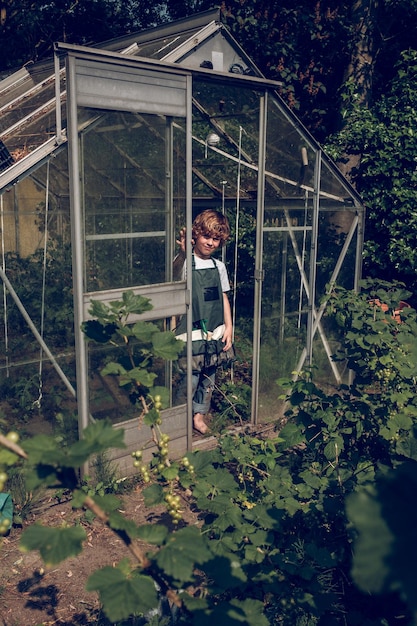 Niño descalzo de pelo rubio con delantal de jardinería parado en un invernadero entre plantas verdes y mirando la cámara en el día de verano en el campo