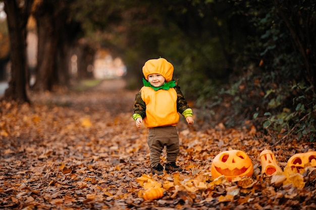 Niño disfrazado de calabaza explorando el parque en Helloween