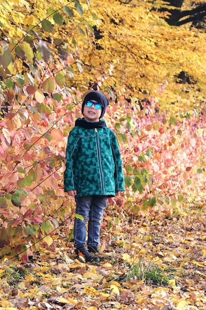 Niño divirtiéndose en el hermoso parque con hojas secas amarillas y rojas. Paseo familiar de otoño en el bosque.