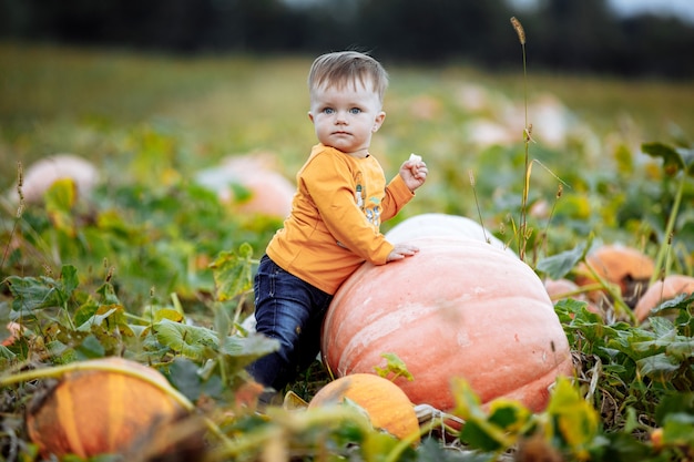 Niño divirtiéndose en un recorrido por una granja de calabazas en otoño