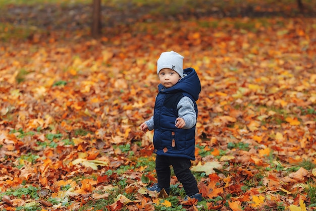 Niño de dos años de pie en el parque en un hermoso día otoñal