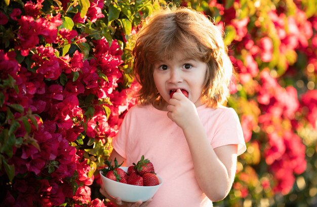 Niño encantador comiendo fresas niño emocionado come fresas en el verano al aire libre
