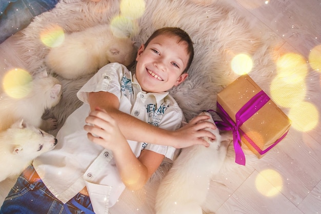 Un niño encantador se encuentra debajo de un árbol de Navidad con un regalo de un lindo cachorro, vista superior