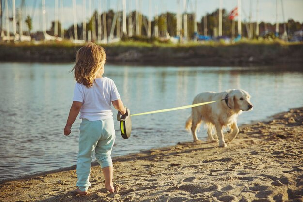 Niño encantador paseando al perro en la playa al atardecer