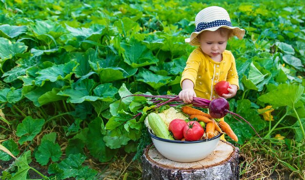 Niño en el enfoque selectivo de la huerta