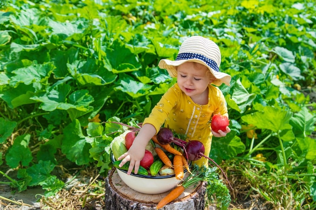 Niño en el enfoque selectivo de la huerta