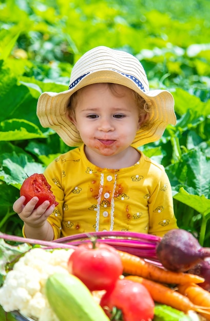 Niño en el enfoque selectivo de la huerta