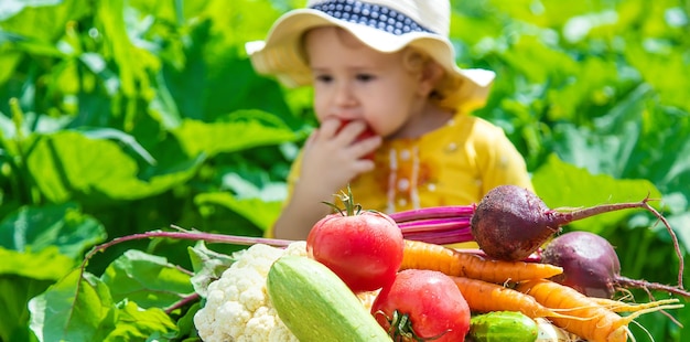 Niño en el enfoque selectivo de la huerta