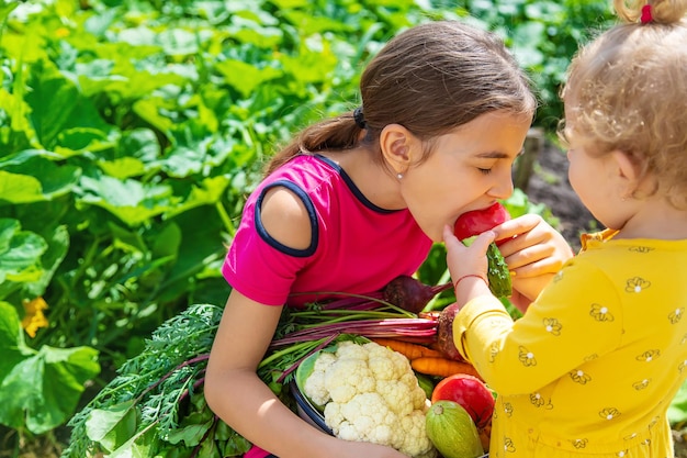 Niño en el enfoque selectivo de la huerta