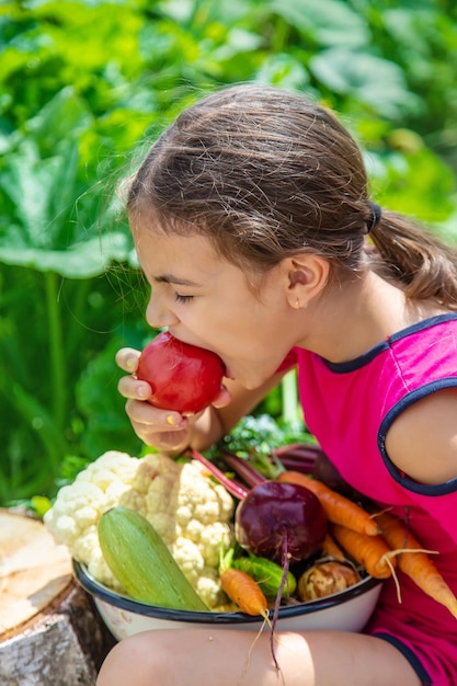 Niño en el enfoque selectivo de la huerta