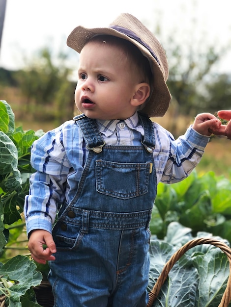 El niño es un pequeño granjero. Ayudante de granja.