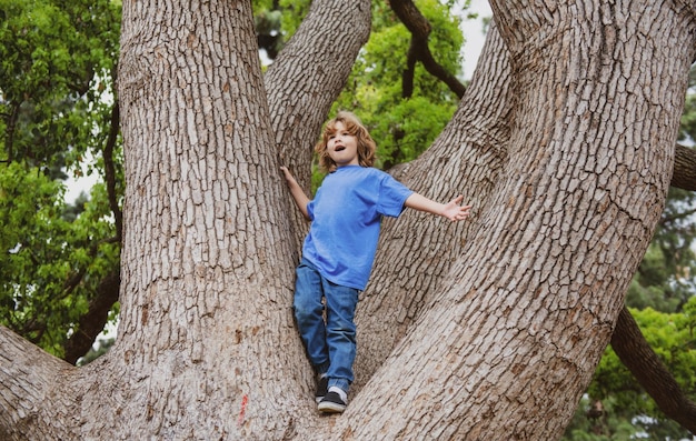 Niño escalando un árbol niño rubio disfrutando escalando en un árbol niños pequeños aprendiendo a escalar