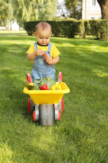 Un niño está parado en el césped del parque junto a un carrito con verduras.