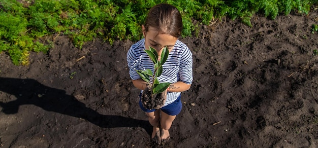 El niño está plantando una planta en el jardín Enfoque selectivo