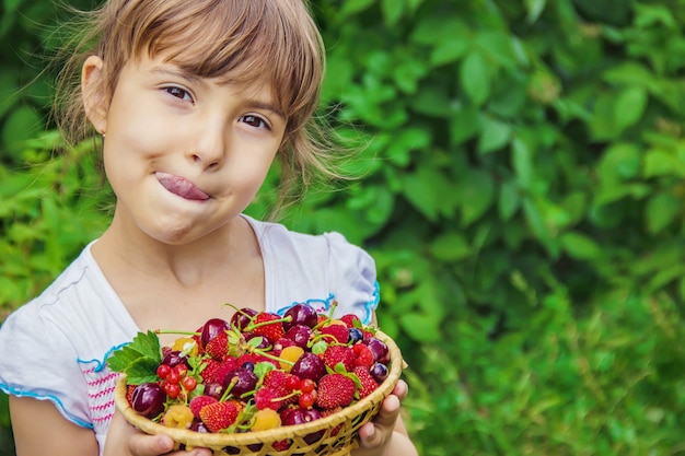 El niño está recogiendo cerezas en el jardín. Enfoque selectivo