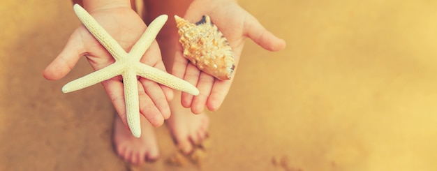 Un niño con una estrella de mar y conchas en sus manos en la playa.