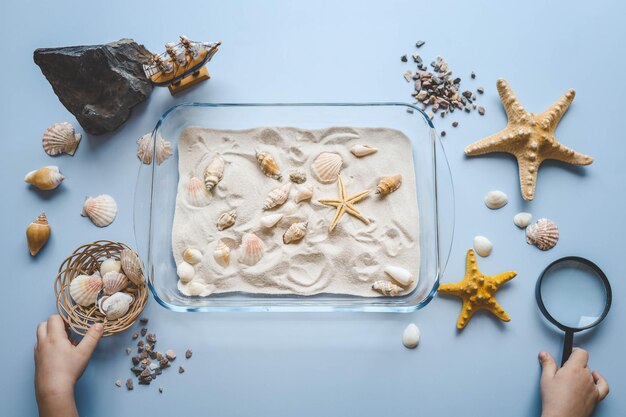 Un niño estudia arena y conchas una idea para una actividad con un niño