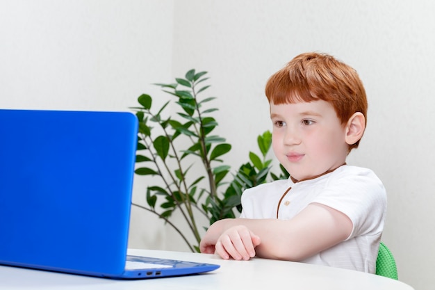 niño estudiando en una computadora