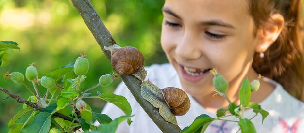 El niño examina los caracoles en el árbol Enfoque selectivo