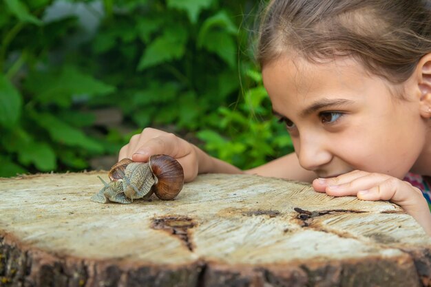 El niño examina los caracoles en el árbol Enfoque selectivo