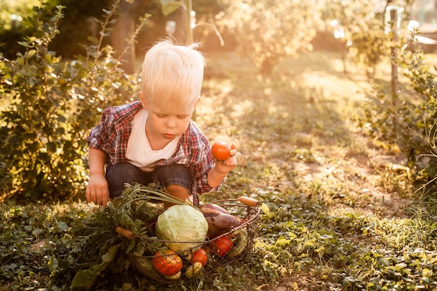 El niño examina una cesta de verduras