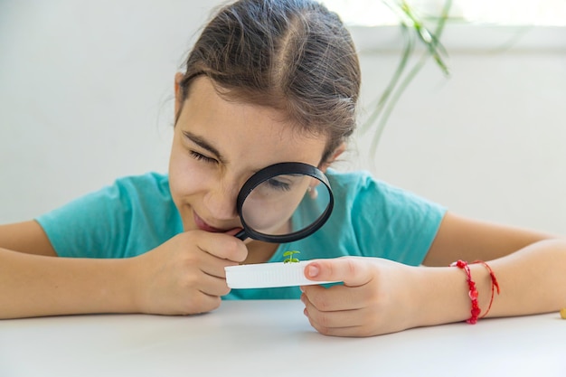 Un niño examina una planta bajo una lupa Enfoque selectivo